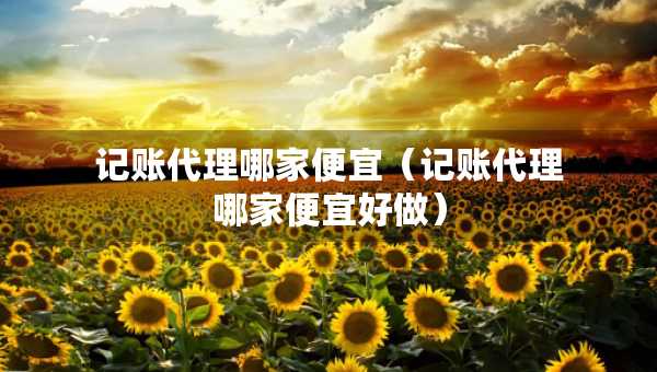 記賬代理哪家便宜（記賬代理哪家便宜好做）