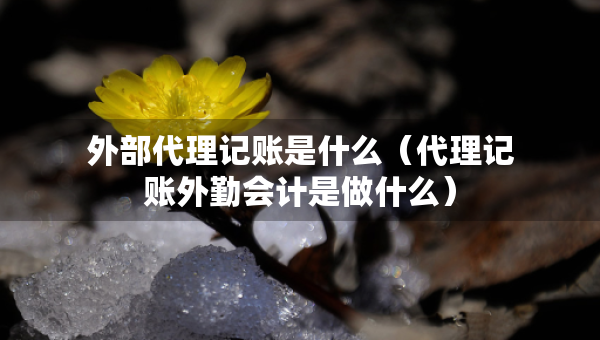 外部代理記賬是什么（代理記賬外勤會計(jì)是做什么）