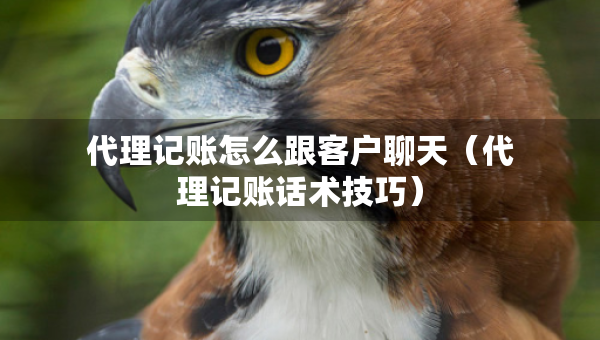 代理記賬怎么跟客戶聊天（代理記賬話術(shù)技巧）