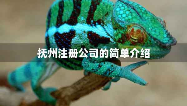 撫州注冊(cè)公司的簡(jiǎn)單介紹