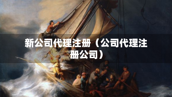 新公司代理注冊(cè)（公司代理注冊(cè)公司）