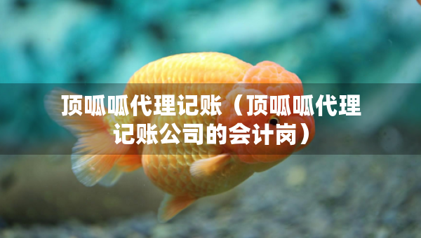 頂呱呱代理記賬（頂呱呱代理記賬公司的會(huì)計(jì)崗）