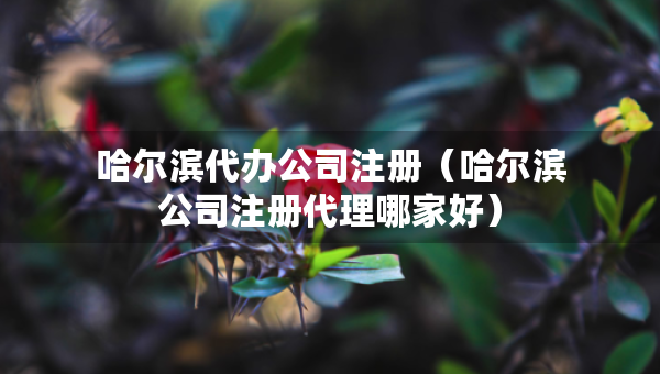 哈爾濱代辦公司注冊（哈爾濱公司注冊代理哪家好）