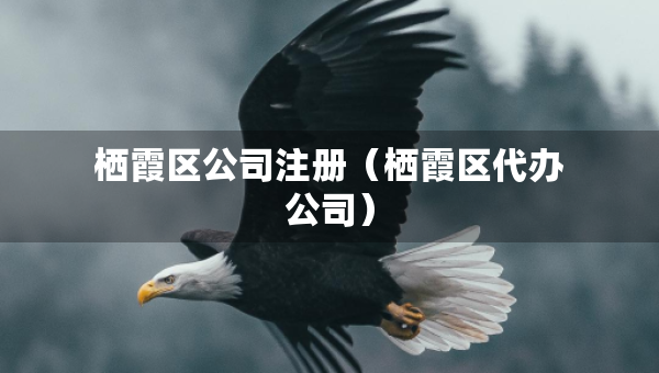 棲霞區(qū)公司注冊（棲霞區(qū)代辦公司）