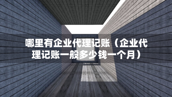 哪里有企業(yè)代理記賬（企業(yè)代理記賬一般多少錢一個月）