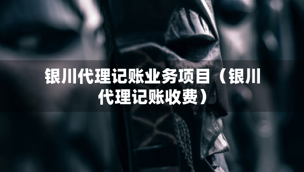 銀川代理記賬業(yè)務項目（銀川代理記賬收費）