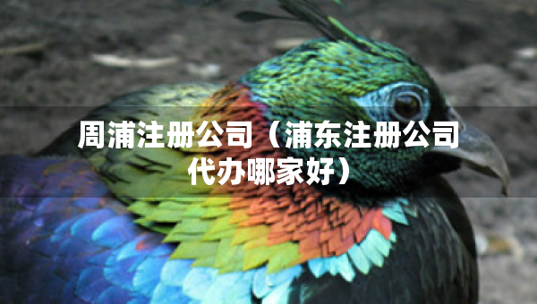 周浦注冊公司（浦東注冊公司代辦哪家好）