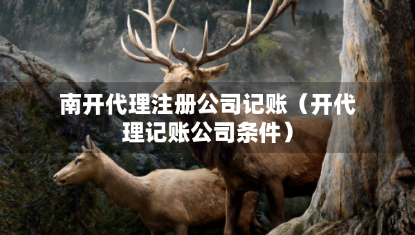 南開(kāi)代理注冊(cè)公司記賬（開(kāi)代理記賬公司條件）