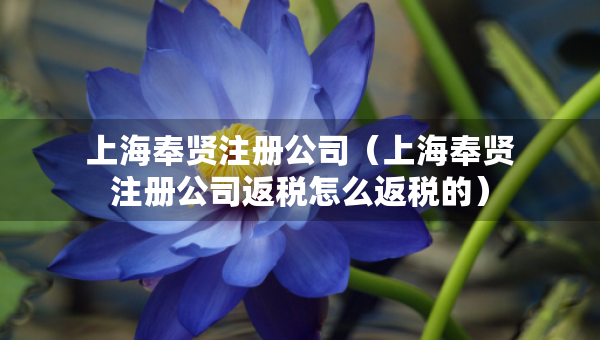 上海奉賢注冊公司（上海奉賢注冊公司返稅怎么返稅的）