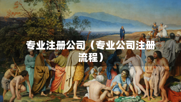 專業(yè)注冊公司（專業(yè)公司注冊流程）