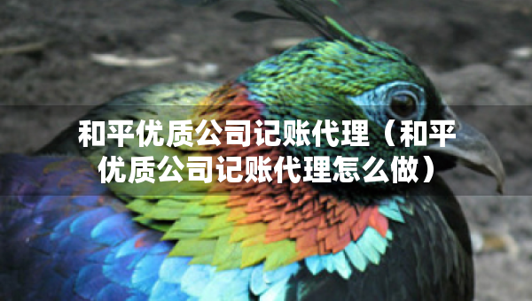 和平優(yōu)質(zhì)公司記賬代理（和平優(yōu)質(zhì)公司記賬代理怎么做）