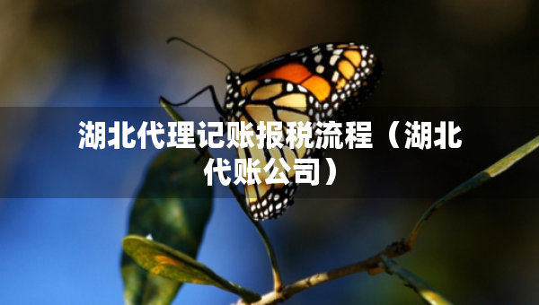 湖北代理記賬報稅流程（湖北代賬公司）