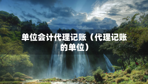 單位會(huì)計(jì)代理記賬（代理記賬的單位）