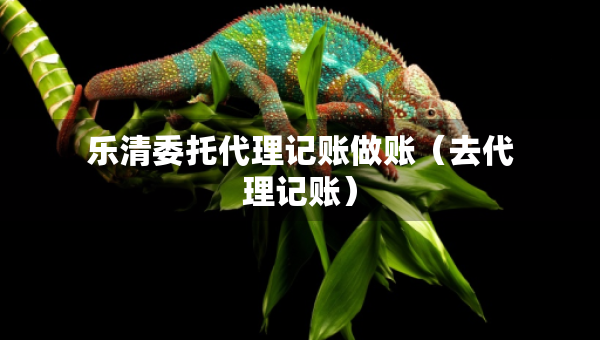 樂(lè)清委托代理記賬做賬（去代理記賬）
