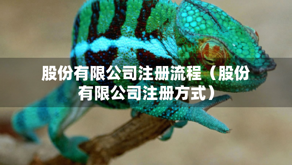 股份有限公司注冊流程（股份有限公司注冊方式）