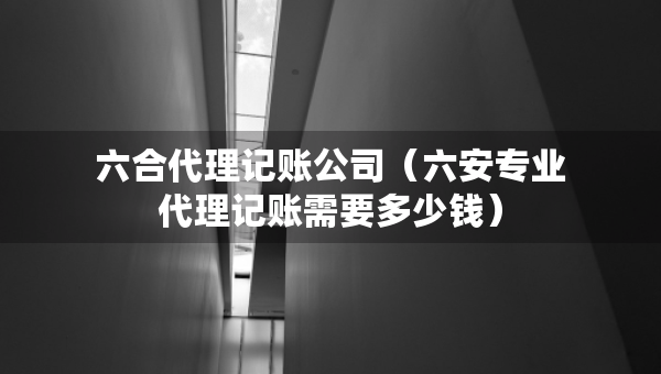 六合代理記賬公司（六安專業(yè)代理記賬需要多少錢）
