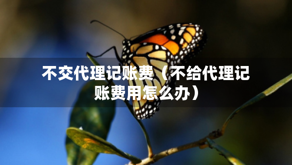 不交代理記賬費(fèi)（不給代理記賬費(fèi)用怎么辦）