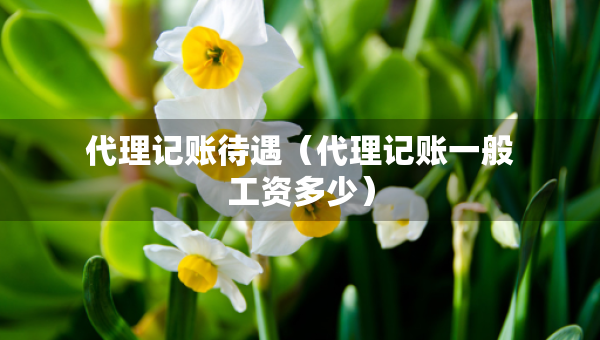 代理記賬待遇（代理記賬一般工資多少）