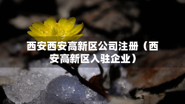 西安西安高新區(qū)公司注冊（西安高新區(qū)入駐企業(yè)）