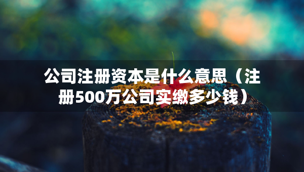 公司注冊資本是什么意思（注冊500萬公司實繳多少錢）