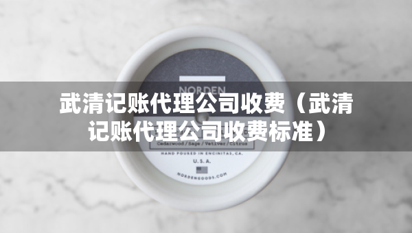 武清記賬代理公司收費(fèi)（武清記賬代理公司收費(fèi)標(biāo)準(zhǔn)）
