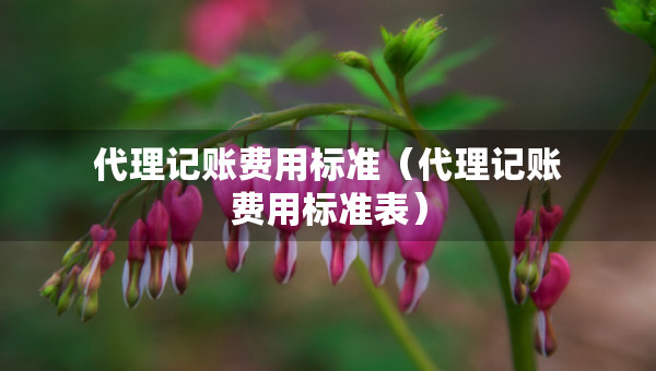 代理記賬費(fèi)用標(biāo)準(zhǔn)（代理記賬費(fèi)用標(biāo)準(zhǔn)表）