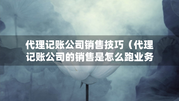 代理記賬公司銷售技巧（代理記賬公司的銷售是怎么跑業(yè)務）
