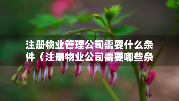 注冊物業(yè)管理公司需要什么條件（注冊物業(yè)公司需要哪些條件）