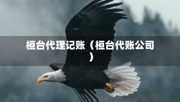 桓臺(tái)代理記賬（桓臺(tái)代賬公司）
