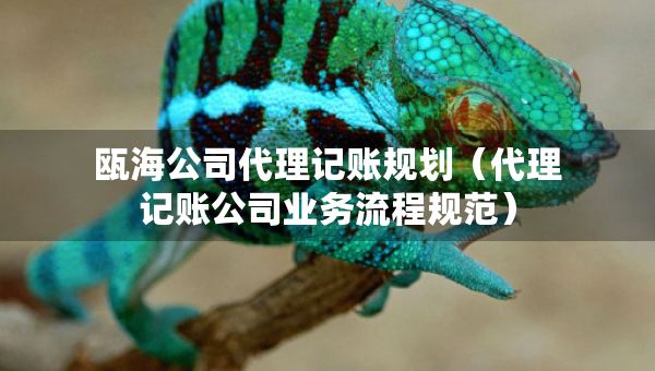 甌海公司代理記賬規(guī)劃（代理記賬公司業(yè)務(wù)流程規(guī)范）