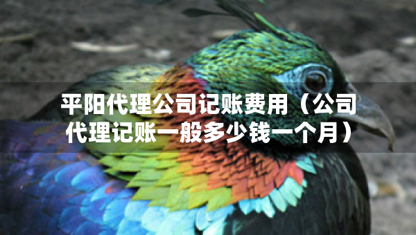 平陽代理公司記賬費用（公司代理記賬一般多少錢一個月）