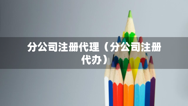 分公司注冊(cè)代理（分公司注冊(cè)代辦）