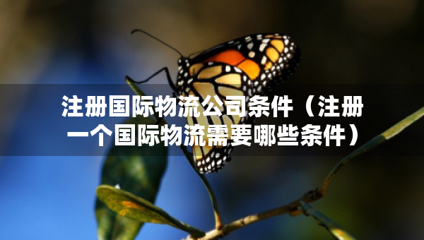 注冊國際物流公司條件（注冊一個國際物流需要哪些條件）