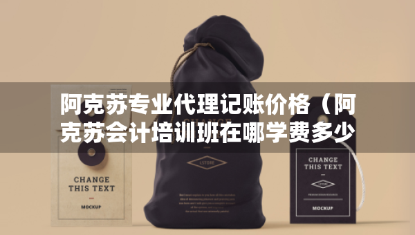 阿克蘇專(zhuān)業(yè)代理記賬價(jià)格（阿克蘇會(huì)計(jì)培訓(xùn)班在哪學(xué)費(fèi)多少）