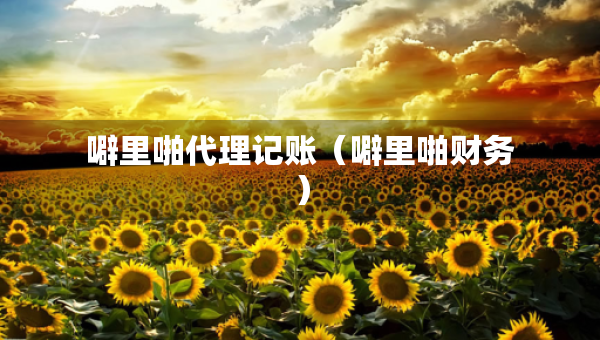 噼里啪代理記賬（噼里啪財(cái)務(wù)）