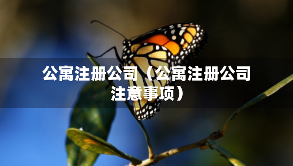 公寓注冊公司（公寓注冊公司注意事項(xiàng)）
