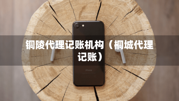 銅陵代理記賬機(jī)構(gòu)（桐城代理記賬）