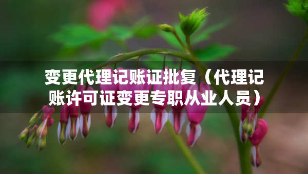 變更代理記賬證批復(fù)（代理記賬許可證變更專職從業(yè)人員）
