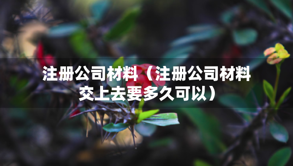 注冊公司材料（注冊公司材料交上去要多久可以）