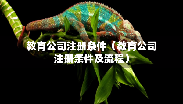 教育公司注冊(cè)條件（教育公司注冊(cè)條件及流程）