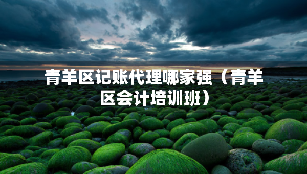 青羊區(qū)記賬代理哪家強（青羊區(qū)會計培訓班）