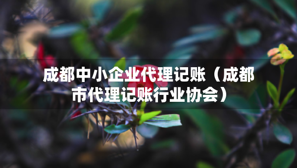 成都中小企業(yè)代理記賬（成都市代理記賬行業(yè)協(xié)會(huì)）