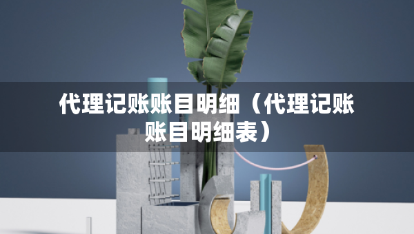代理記賬賬目明細(xì)（代理記賬賬目明細(xì)表）