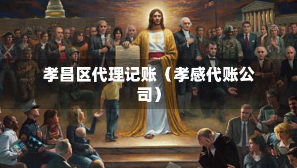 孝昌區(qū)代理記賬（孝感代賬公司）