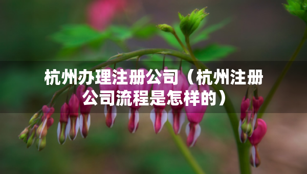 杭州辦理注冊公司（杭州注冊公司流程是怎樣的）