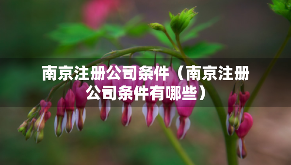 南京注冊(cè)公司條件（南京注冊(cè)公司條件有哪些）