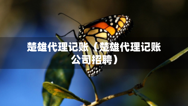 楚雄代理記賬（楚雄代理記賬公司招聘）
