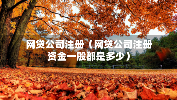 網(wǎng)貸公司注冊（網(wǎng)貸公司注冊資金一般都是多少）