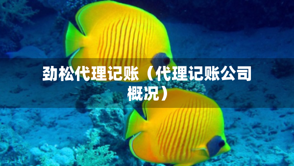 勁松代理記賬（代理記賬公司概況）