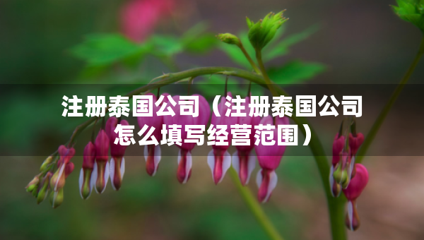 注冊(cè)泰國(guó)公司（注冊(cè)泰國(guó)公司怎么填寫(xiě)經(jīng)營(yíng)范圍）